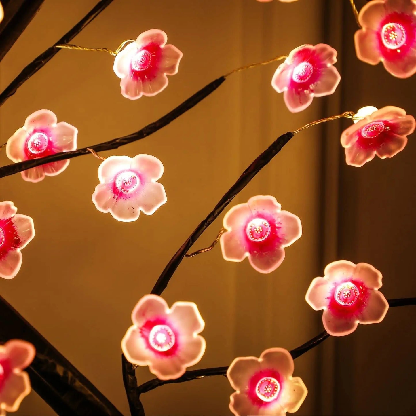 Enchanted Blossom Glow – Braylen Glow
